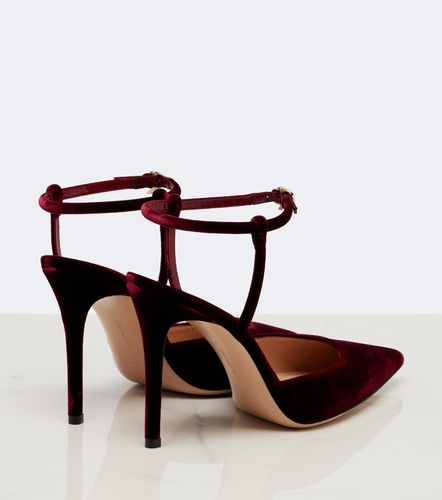 Gianvito Rossi Escarpins en velours - Gianvito Rossi - Modalova