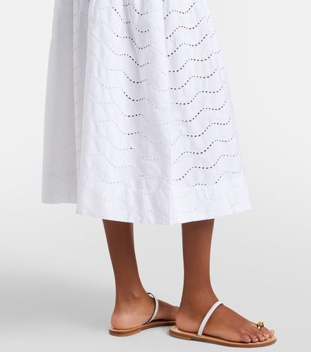 Jupe midi en coton à broderies anglaises - Polo Ralph Lauren - Modalova