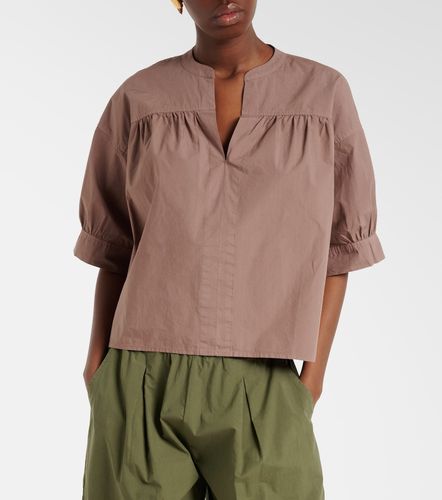 Velvet Blouse Yuna en coton - Velvet - Modalova