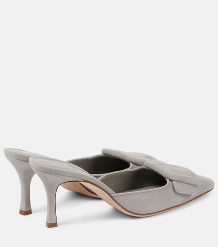 Mules Maysale en daim - Manolo Blahnik - Modalova