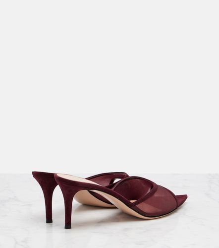 Mules Pointy 70 en daim et organza - Gianvito Rossi - Modalova