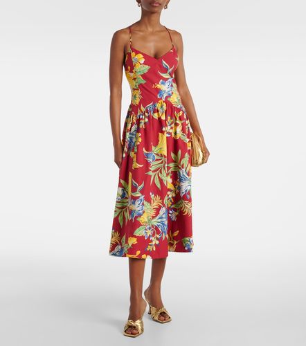 Robe midi en coton à fleurs - Polo Ralph Lauren - Modalova