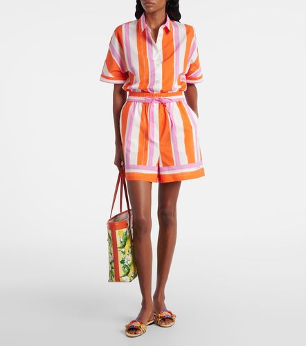 Chemise rayée en coton - Dolce&Gabbana - Modalova