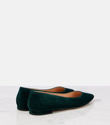 Ballerines Gianvito en daim - Gianvito Rossi - Modalova