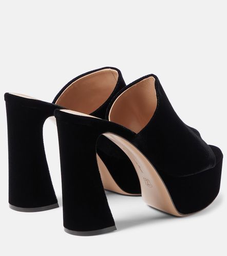 Mules Holly à plateau en velours - Gianvito Rossi - Modalova