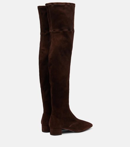 Cuissardes Remi 35 en daim - Aquazzura - Modalova