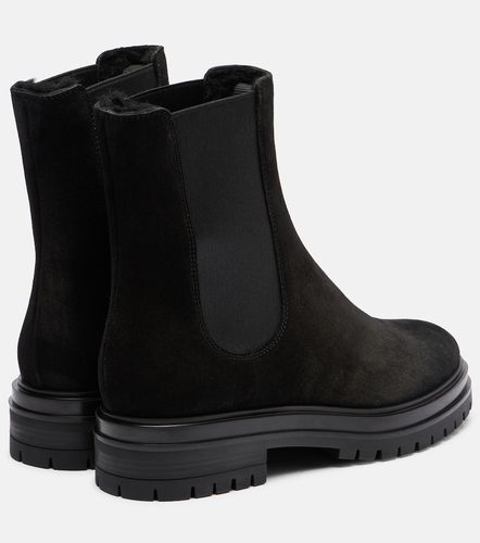 Bottines Chelsea Chester en daim - Gianvito Rossi - Modalova