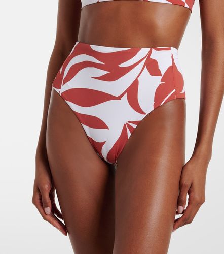 Culotte de bikini Stilla imprimée - Max Mara - Modalova