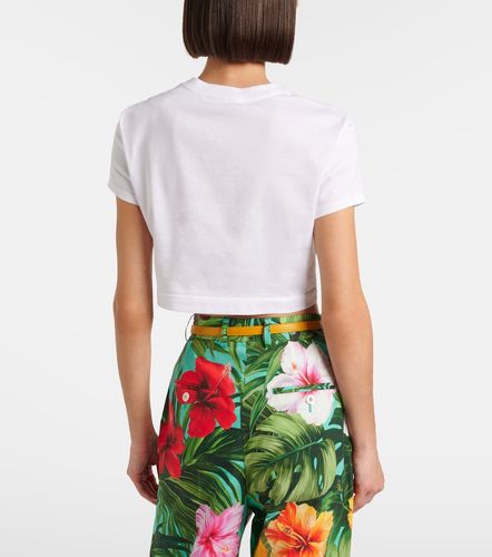 Top court en coton à imprimé - Dolce&Gabbana - Modalova