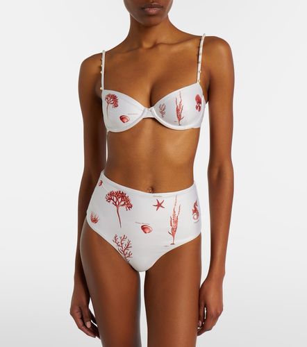 Culotte de bikini Magdalena imprimée - Agua by Agua Bendita - Modalova