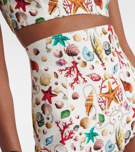 Short Capri taille haute à imprimé - Dolce&Gabbana - Modalova