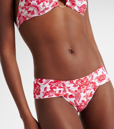Culotte de bikini Brussels à imprimé floral - Melissa Odabash - Modalova