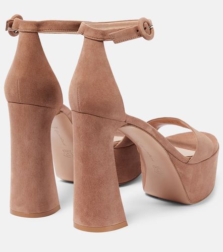 Sandales à plateau Sheridan en daim - Gianvito Rossi - Modalova