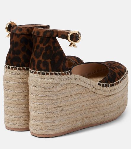 Espadrilles compensées en daim à imprimé léopard - Gianvito Rossi - Modalova