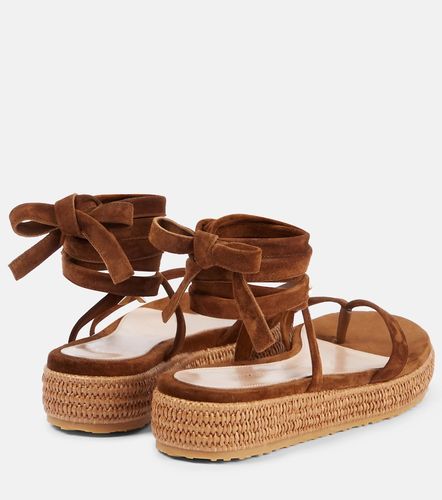 Gianvito Rossi Sandales en daim - Gianvito Rossi - Modalova