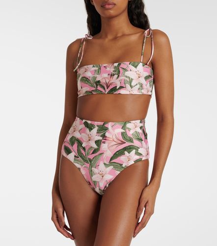 Culotte de bikini taille haute à motif floral Magenta - Agua by Agua Bendita - Modalova