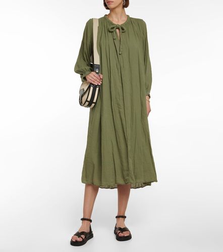 Velvet Robe midi Frankie en coton - Velvet - Modalova