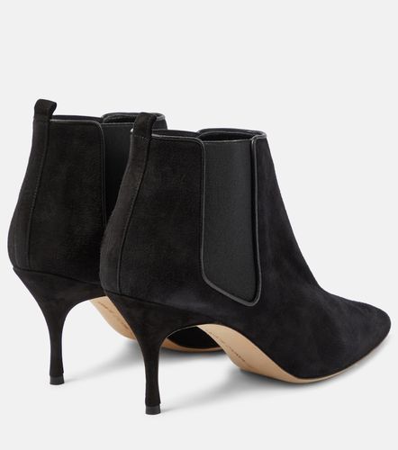 Bottines Dildi Otto en daim - Manolo Blahnik - Modalova