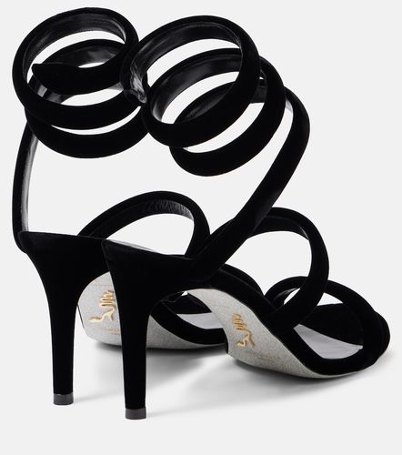 Sandales Cleo 80 en velours - Rene Caovilla - Modalova