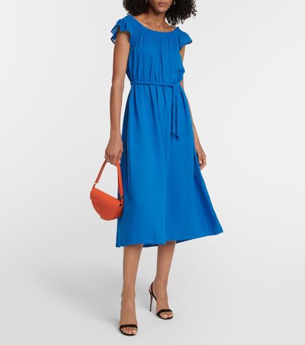 Velvet Robe midi Justine en coton - Velvet - Modalova
