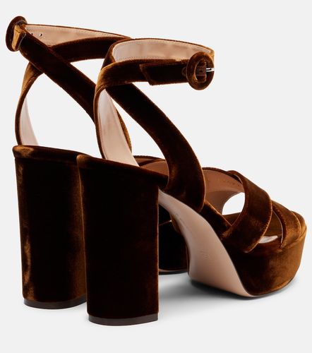 Sandales Sabrina à plateau en velours - Gianvito Rossi - Modalova
