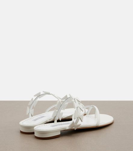 Manolo Blahnik Mules Maura en cuir - Manolo Blahnik - Modalova