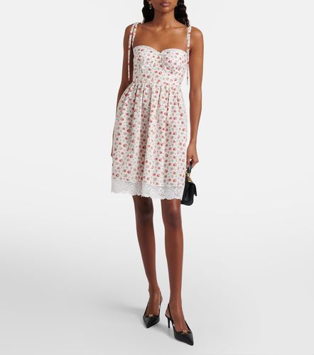 Robe en popeline de coton à dentelle - Dolce&Gabbana - Modalova