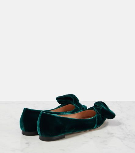 Ballerines en velours à nœud - Gianvito Rossi - Modalova