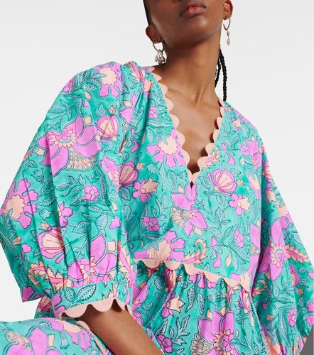 Robe en popeline de coton colorblock - Juliet Dunn - Modalova