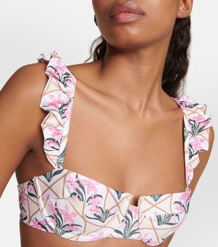 Haut de bikini Kiwi Orquidea à fleurs - Agua by Agua Bendita - Modalova