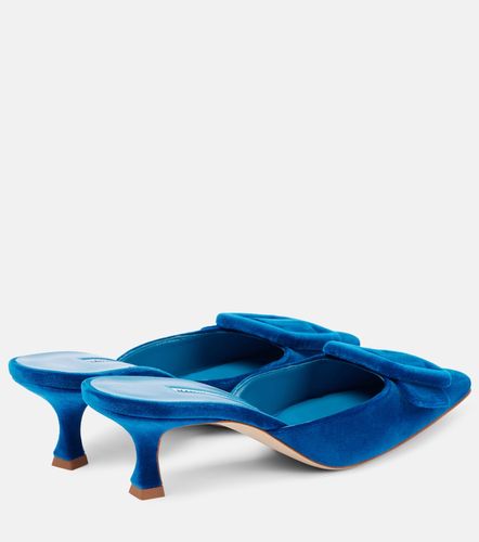 Mules Maysale 50 en velours - Manolo Blahnik - Modalova