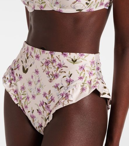 Culotte de bikini Jengibre à fleurs - Agua by Agua Bendita - Modalova