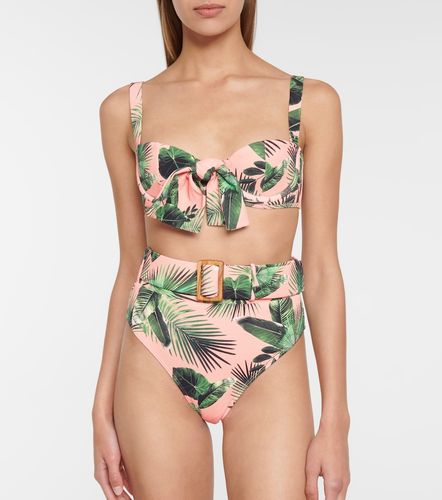 Culotte de bikini Ursula imprimée - Alexandra Miro - Modalova