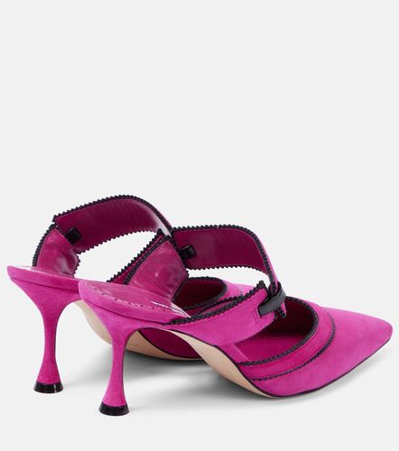 Mules Brontiamusa 70 en daim - Manolo Blahnik - Modalova