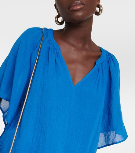 Velvet Top Belle en coton - Velvet - Modalova