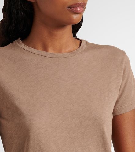 Velvet T-shirt Sierra en coton - Velvet - Modalova