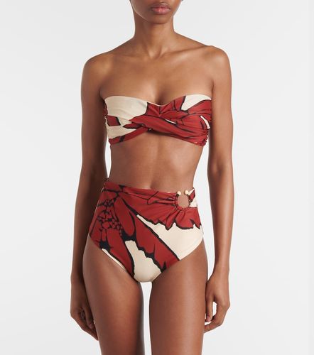 Culotte de bikini imprimée - Johanna Ortiz - Modalova