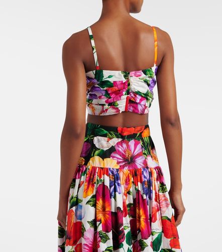 Brassière en coton à fleurs - Dolce&Gabbana - Modalova