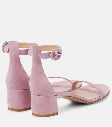 Sandales Gaeta 45 en daim - Gianvito Rossi - Modalova
