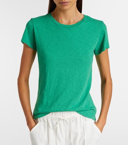 T-shirt Odelia en jersey de coton - Velvet - Modalova