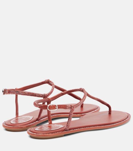 Sandales Diana en satin à ornements - Rene Caovilla - Modalova