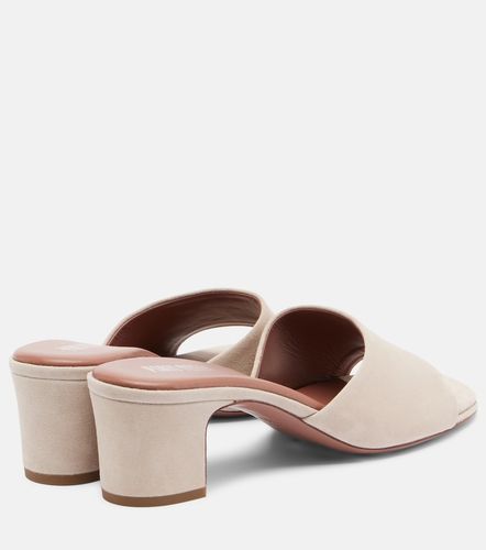 Paris Texas Mules Ava 50 en daim - Paris Texas - Modalova