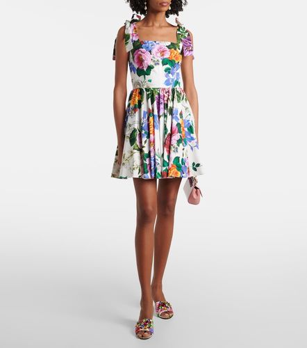 Robe en coton à fleurs - Dolce&Gabbana - Modalova
