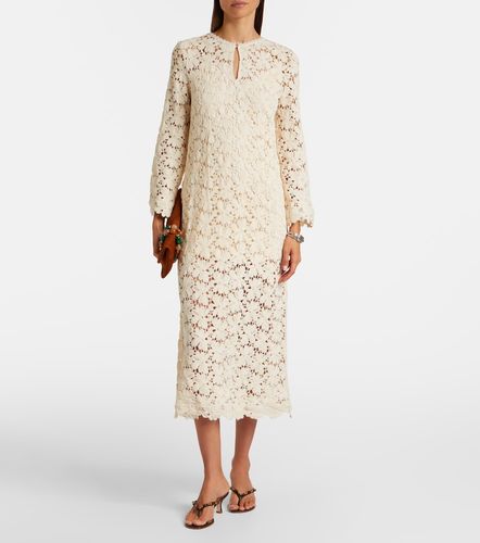 Robe Jovie en coton mélangé et dentelle guipure - Velvet - Modalova