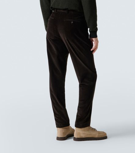 Loro Piana Chino en coton - Loro Piana - Modalova