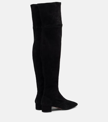 Cuissardes Remi 35 en daim - Aquazzura - Modalova