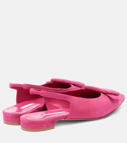 Ballerines slingback Maylura en daim - Manolo Blahnik - Modalova