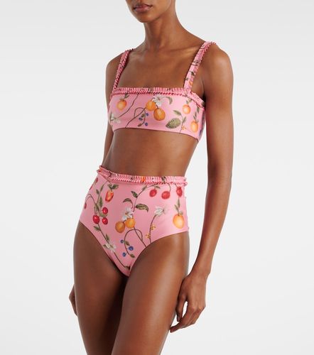 Haut de bikini Olmo à imprimé - Agua by Agua Bendita - Modalova