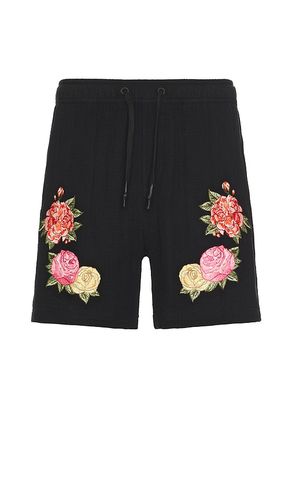 SHORT in . Size 34, 36 - Agua Bendita - Modalova