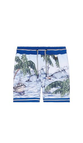 SHORT NICK KAI in . Size 6 - Agua Bendita - Modalova